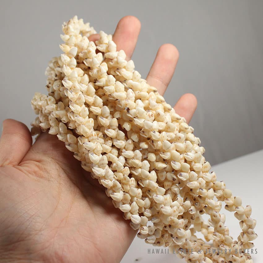 VINTAGE NI'IHAU SHELL TRIPLE STRAND SHELL LEI WEDDING NECKLACE 38" W/ APPRAISAL - Image 3
