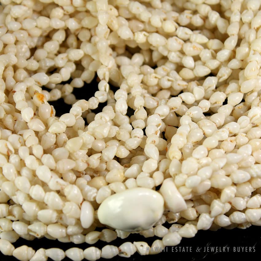 NI'IHAU SHELL 9 STRAND WEDDING LEI NECKLACE LAIKI RICE SHELLS 60" - Image 3